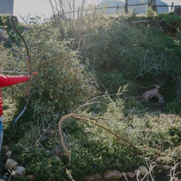 3d_Archery_Stellenbosch-17