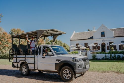wine-safari-teambuilding